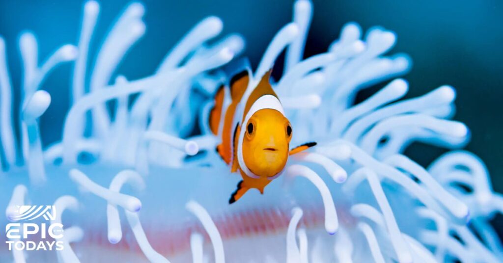 Creative Fish Names