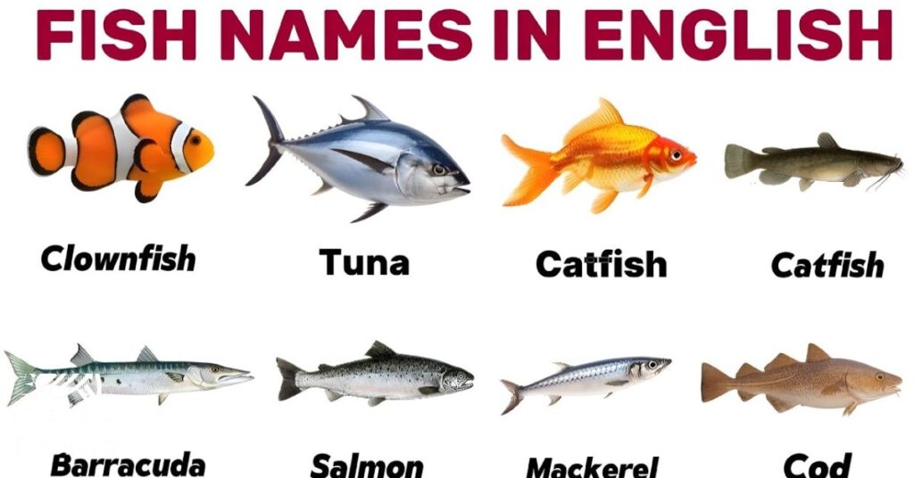 Famous Fish Names