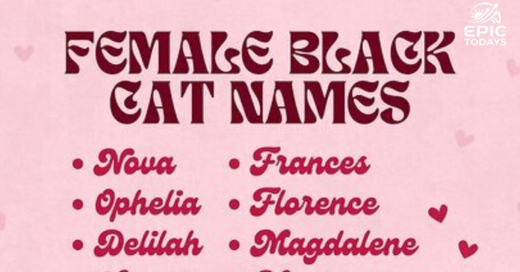 Funny Black Cat Names Female