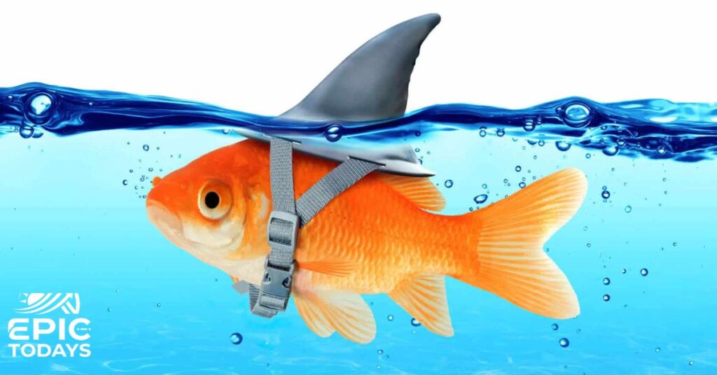 Funny Fish Names Puns