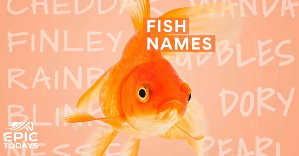 Quick Tips For Nailing Your Funny Fish Names